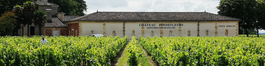 La petite Lune, vin rouge, Grand Vin de Bordeaux 2018